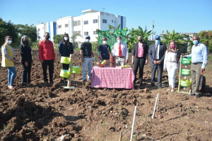Regional Educaci&oacute;n 07 realiza lanzamiento Huertos Escolares en Distrito Educativo 07-06