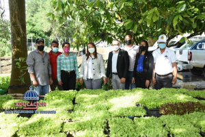 Regional de Educaci&oacute;n 07 recibe pl&aacute;ntulas de lechuga de diferentes variadades
