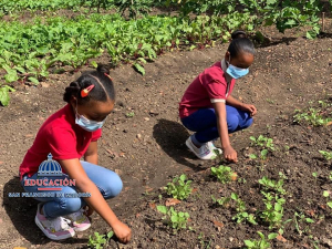 Regional de Educaci&oacute;n 07 realiza lanzamiento de Huertos Escolares y Familiares en Distrito Educativo de  Salcedo y Villa Tapia